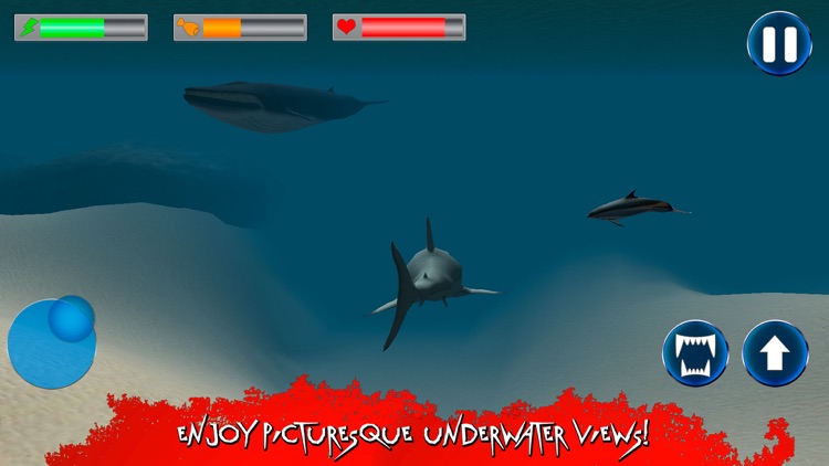 Wild Angry Shark Simulator 3D Full screenshot-3