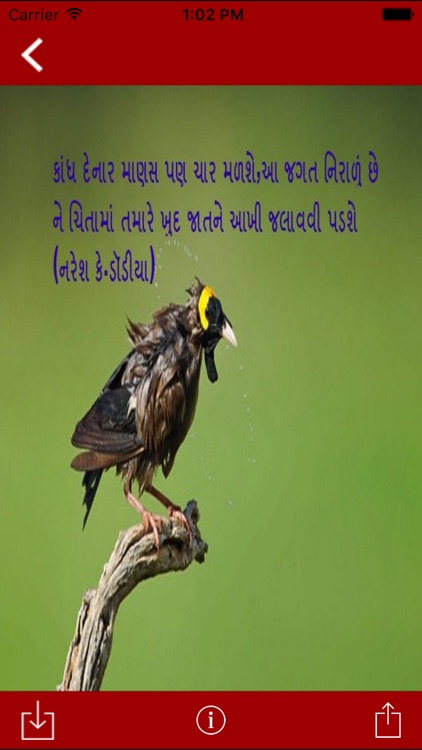 Gujarati Quotes Wallpapers - Latest version for Android - Download APK