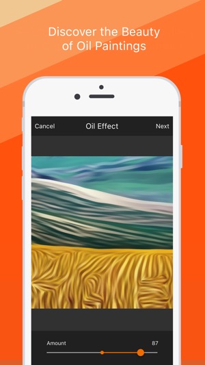 Oil Painting Effect - Convert Your Photos into Oil Paintings(圖2)-速報App