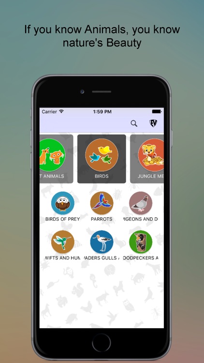 SMART EduJi Animal Lovers-Colourful Animal Stickers full of Knowledge