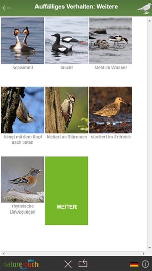 Vögel bestimmen, naturetouch(圖5)-速報App