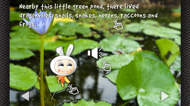 Ribbit, Did I Just Say Ribbit?: Hear to Learn Animal Sounds - Children’s Story Book