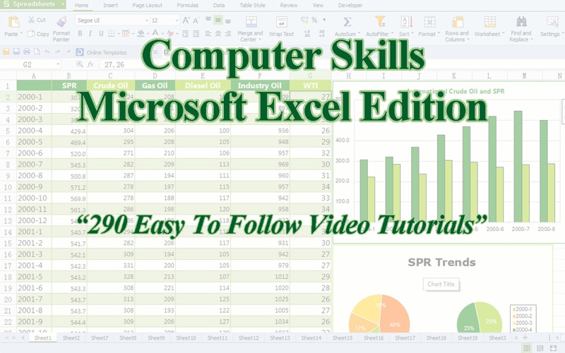 Computer Skills - Microsoft Excel Edition thumbnail 1
