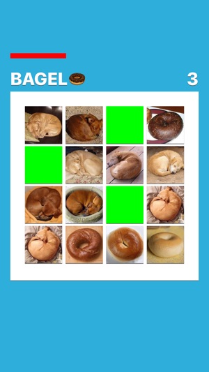 Puppy or Bagel(圖2)-速報App