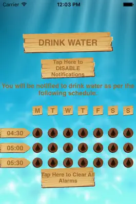 Game screenshot Drink Water for Health apk