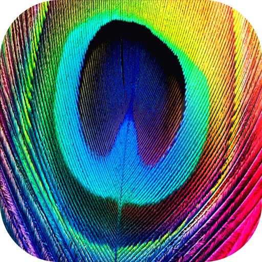 Feather HD Wallpapers icon