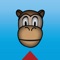 This app teaches children ages 5 to 10 years of age about how to prevent type 2 diabetes by making healthy choices and living a healthy lifestyles using an interactive set of games and storybook