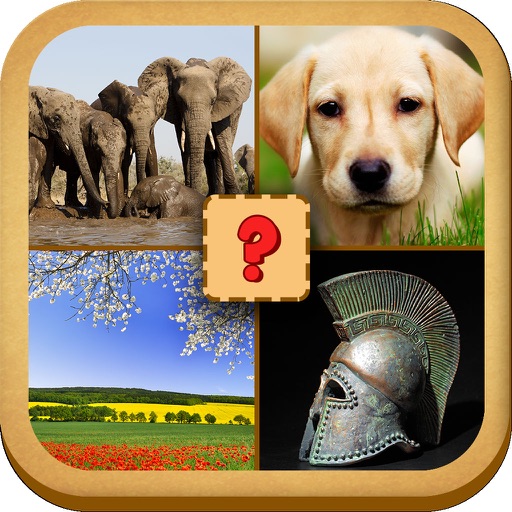 Guess 1 word 4 pictures icon