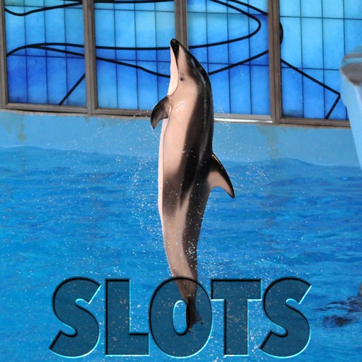 White Side Of The Pacific Dolphin Slots - FREE Gambling World Series Tournament icon