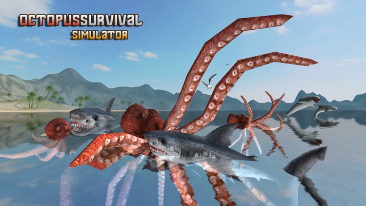 Octopus Survival Simulator
