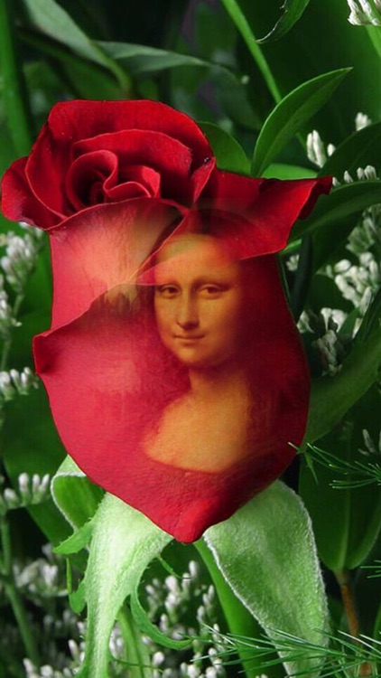 Coolest Free Photo Effects screenshot-4