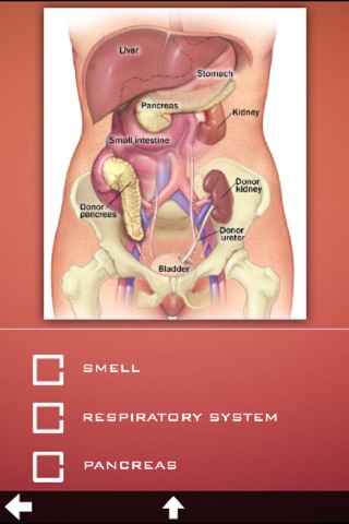 Human Body Guide screenshot 4