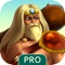 Royal Heroes Pro