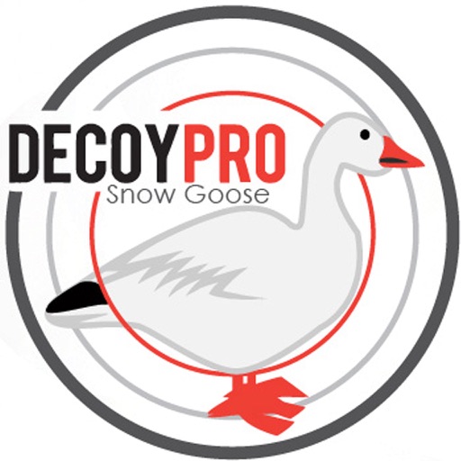 Snow Goose Decoy Spreads Hunting Diagrams Geese