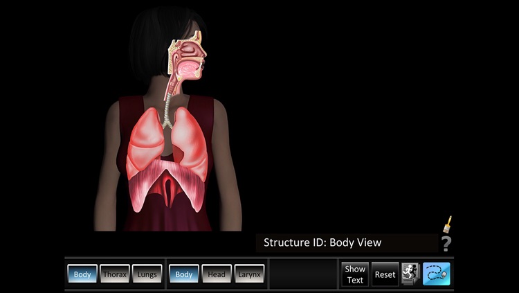 Respiration ID