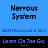 Nervous System Flashcard