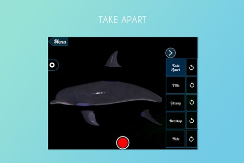 Dolphin 3D screenshot 2