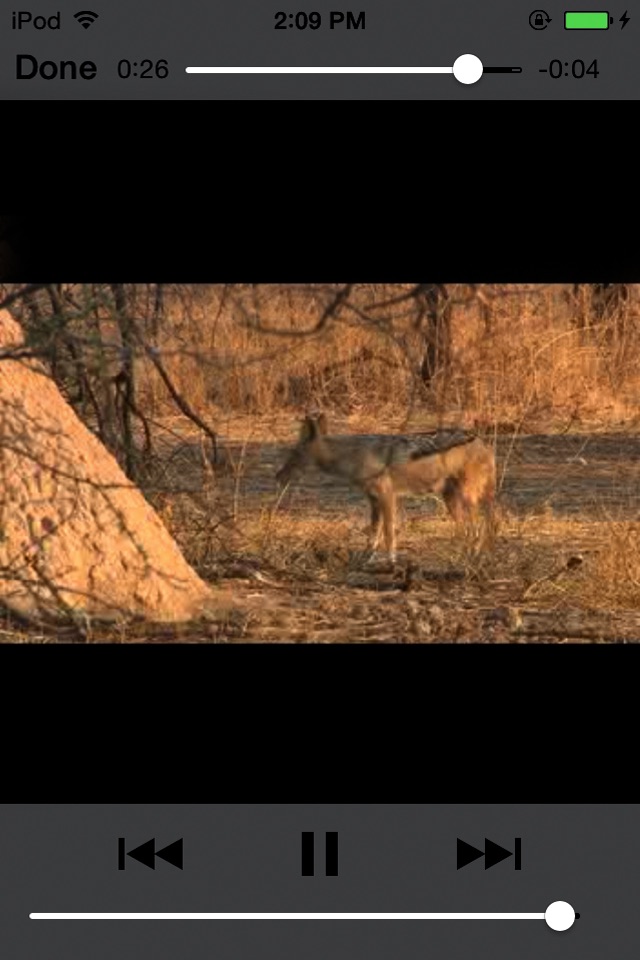 Sasol Soogdiere vir Beginners (Lite): Blitsfeite, foto's en video's van 46 Suider-Afrikaanse diere screenshot 4