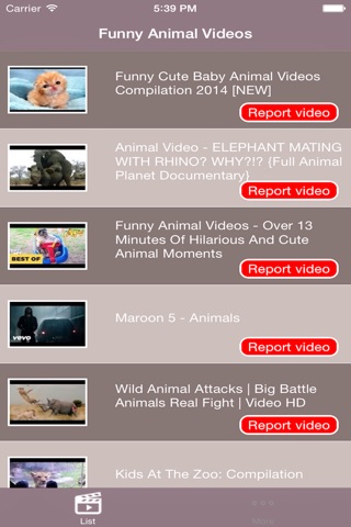 Funny Animal Videos screenshot 2