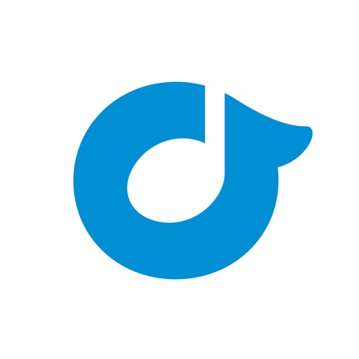 Rdio Review