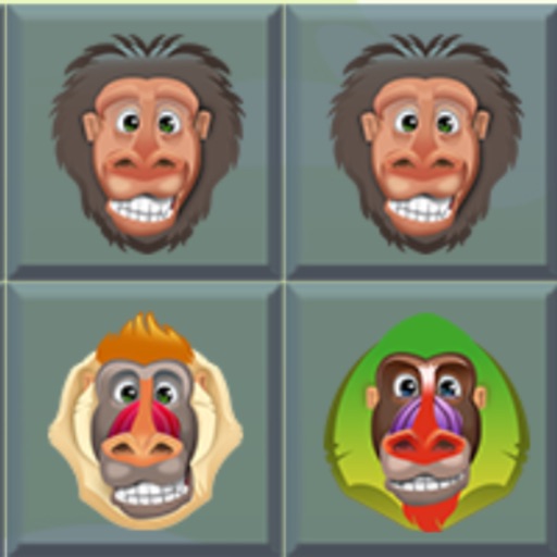 A Baboon Match Zoomer icon