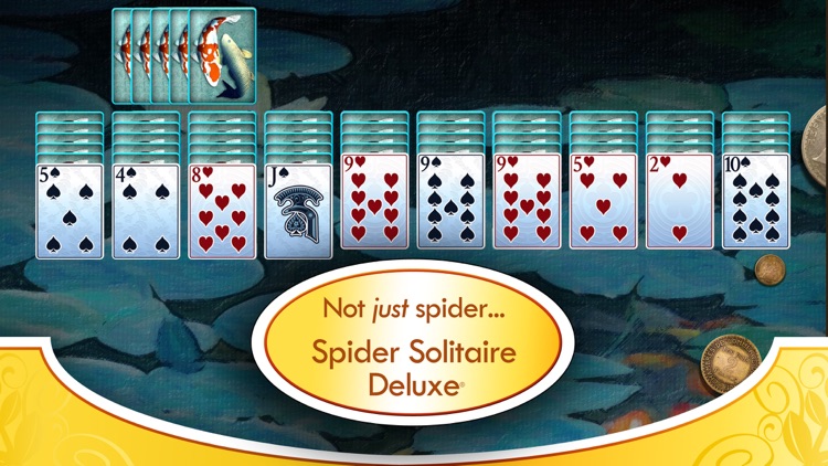 Spider Solitaire Deluxe®