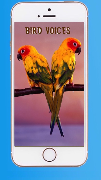 How to cancel & delete Beautiful Birds Sounds from iphone & ipad 1