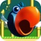Flappy Rival-The Adventure Of Two Fat Bird Fun Free Games