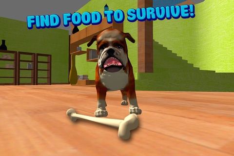House Dog Survival Simulator 3D screenshot 2