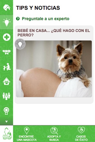 Busca tu mascota! screenshot 4