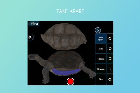 Tortoise 3D screenshot 2