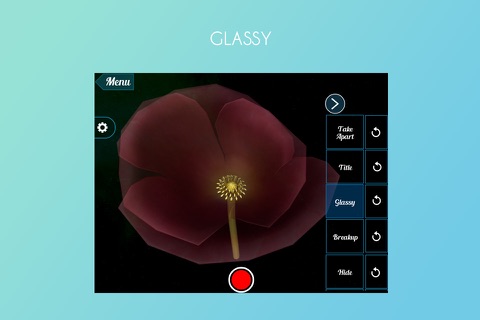 VR Poppy Flower screenshot 4