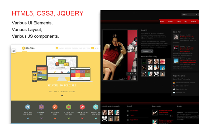 Website Template(Concise&Wordpress) With Html Files Pack8(圖4)-速報App