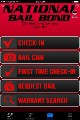 National Bail Bonds screenshot 3