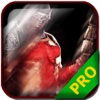 PRO - Dantes Inferno Game Version Guide