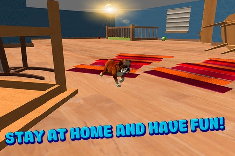 House Dog Survival Simulator 3D screenshot 3