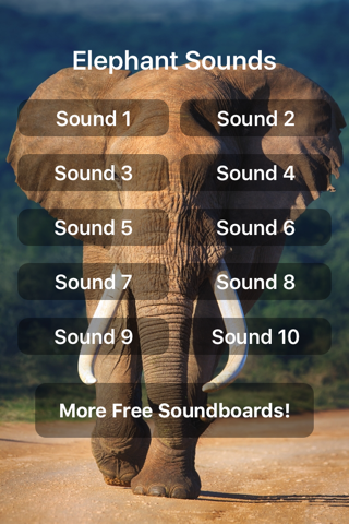 Elephant Sounds! - náhled