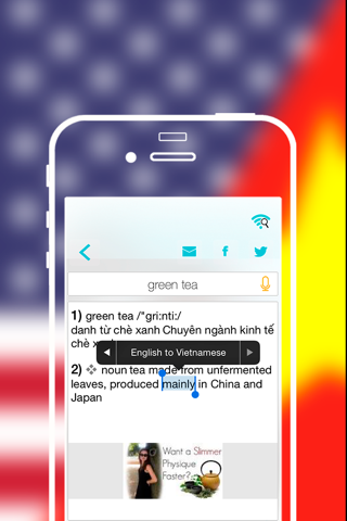 Offline Vietnamese to English Language Dictionary, translator / Việt sang tiếng Anh từ điển screenshot 4