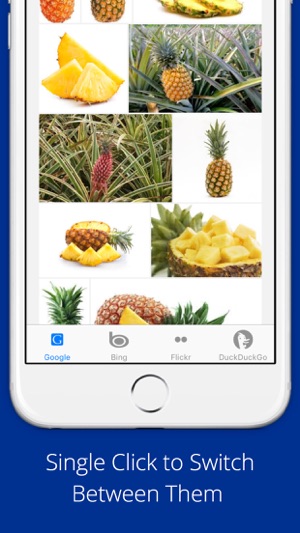 Universal Image Search Pro(圖4)-速報App