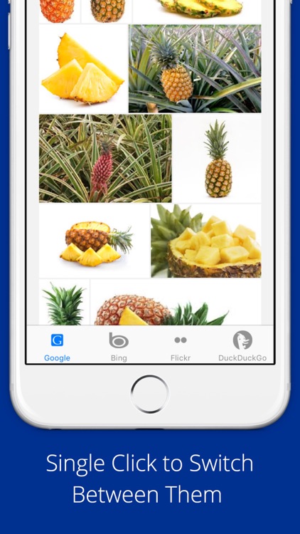 Universal Image Search Pro screenshot-3