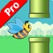 Flappy Bee : Go as far as you can avoiding pipes and wild flowers