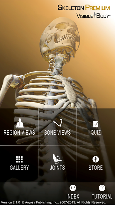 Skeleton Premium screenshot1