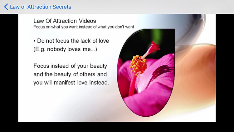 Law of Attraction Secrets screenshot-4