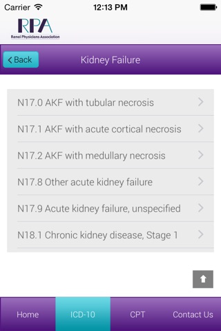 RPA’s Diagnosis Coding Application screenshot 2