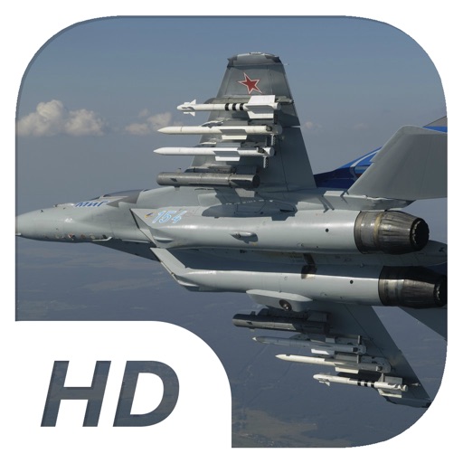 Aggressive Pitbull Fighters - Flight Simulator icon