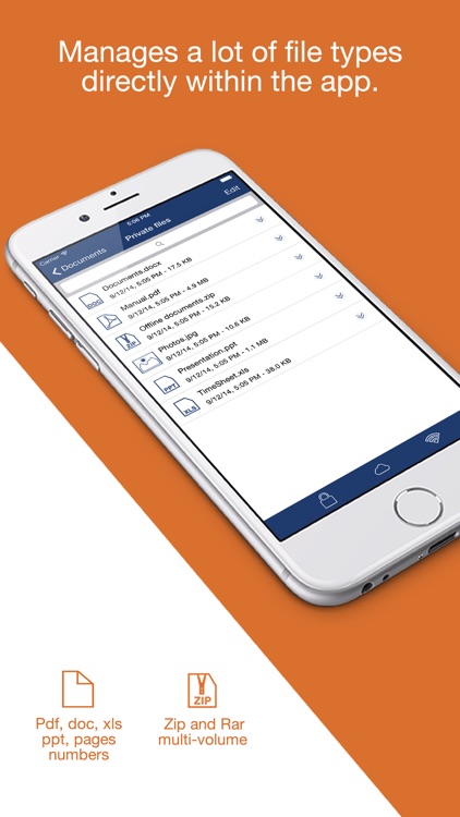 Total: browser with file manager and cloud storage support