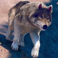 Attaque de Loup 3D Meilleur Jeux de Animaux de Courses pour Enfants Gratuit pour PC