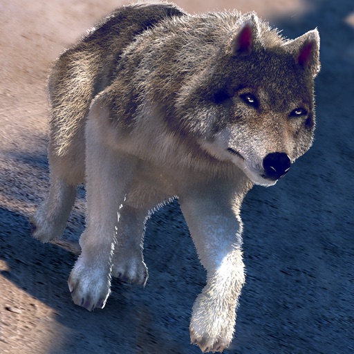 My Free Wolf Game Simulator For Kids icon