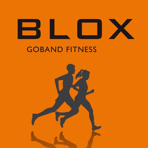 BLOX Goband