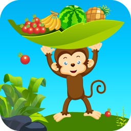 Monkey catching fruit